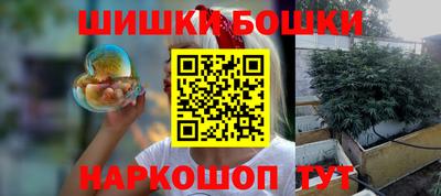 гидра Кингисепп