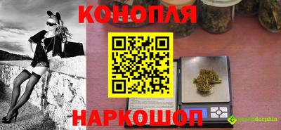 гидра Кингисепп