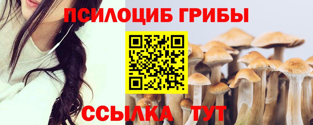Ленинск-Кузнецкий  Галлюциногенные грибы ЛСД  Вход с VPN 